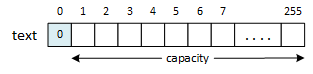 A picture of an empty length-prefixed string implemented as an array of 256 characters. The length of the array, 0, is stored in the first or 0-th character. The string's capacity is 255 - it can save 255 characters.