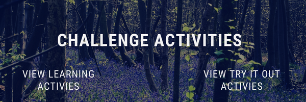 Challenge Activities