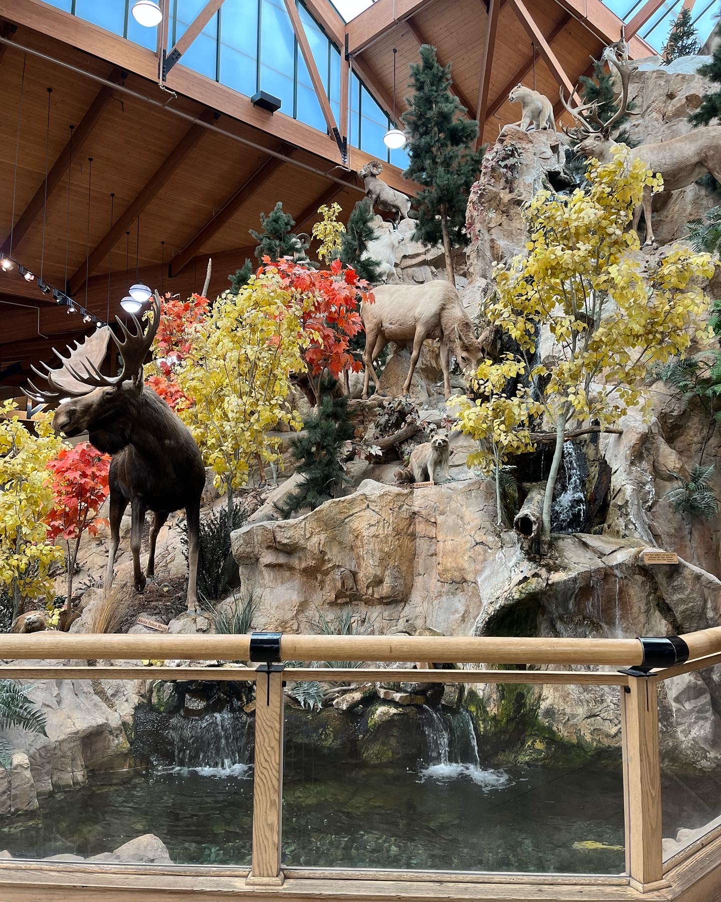 Picture I took at Cabelas