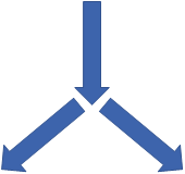 A single arrow, representing a single flow of control, splits into two possible flows. A test expression directs the program to take one flow or branch.