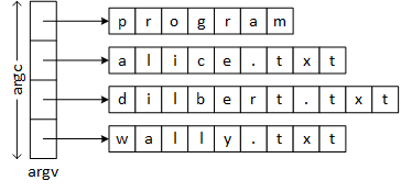 The picture illustrates an array of pointers, named argv, containing argc elements (i.e., with a length or size of argc). Each element of argv is a string implemented as an array of characters, and each string has a different length or size.