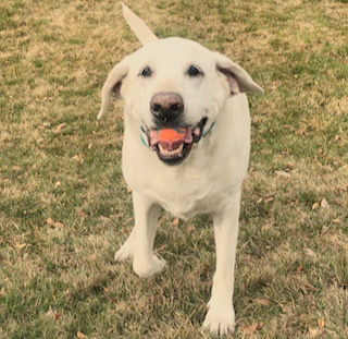 mady with ball