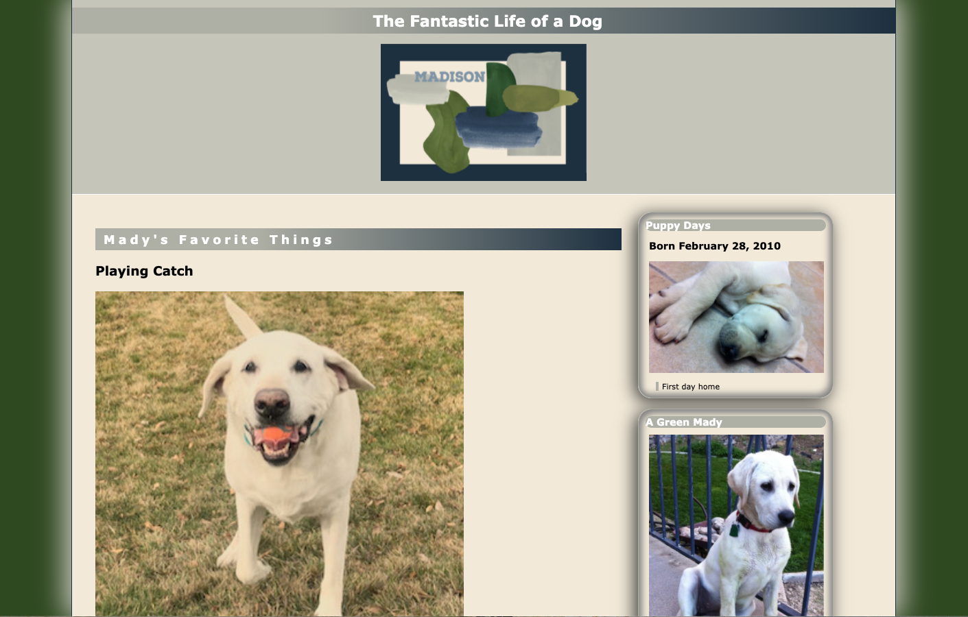 Website1