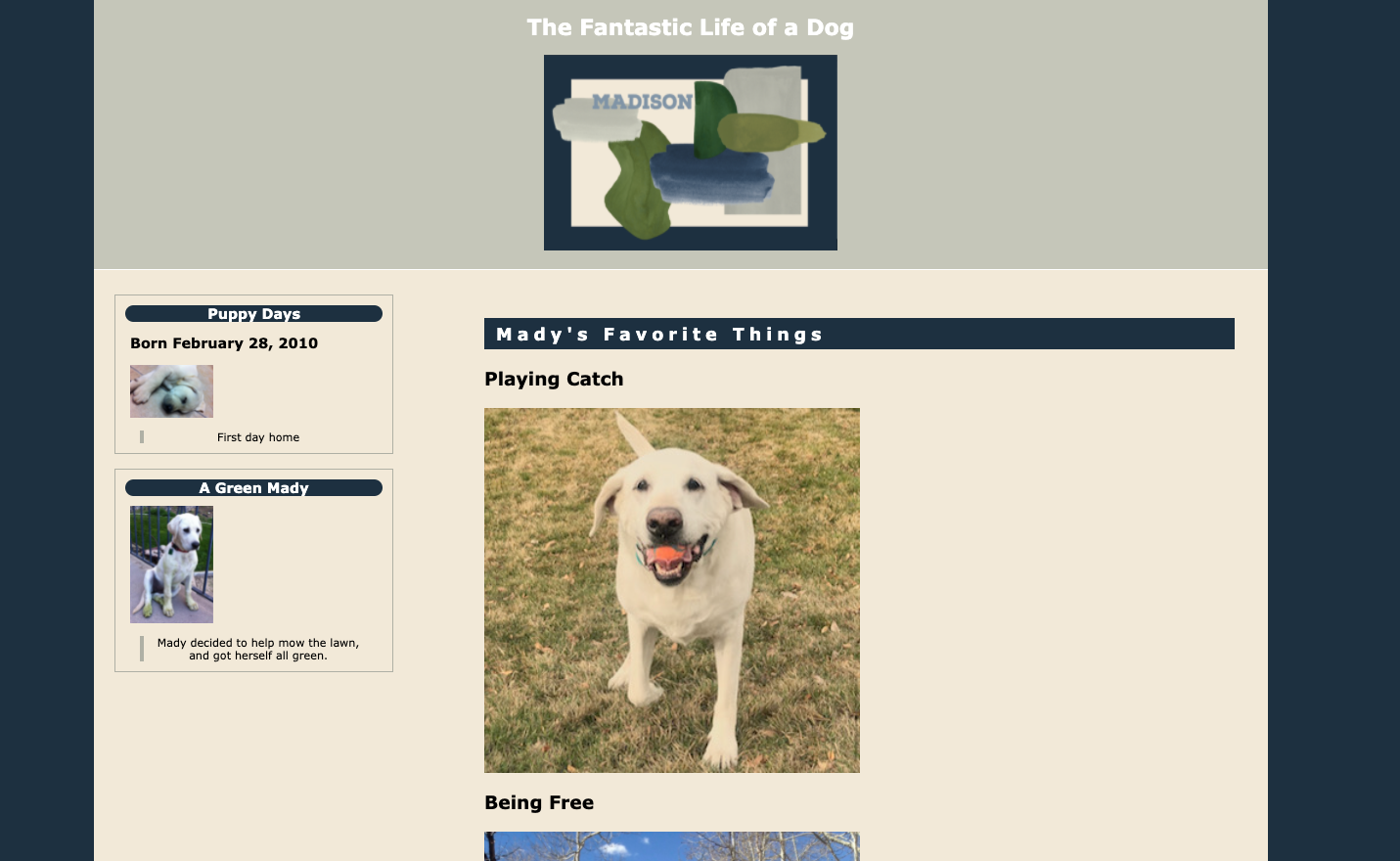 Website2
