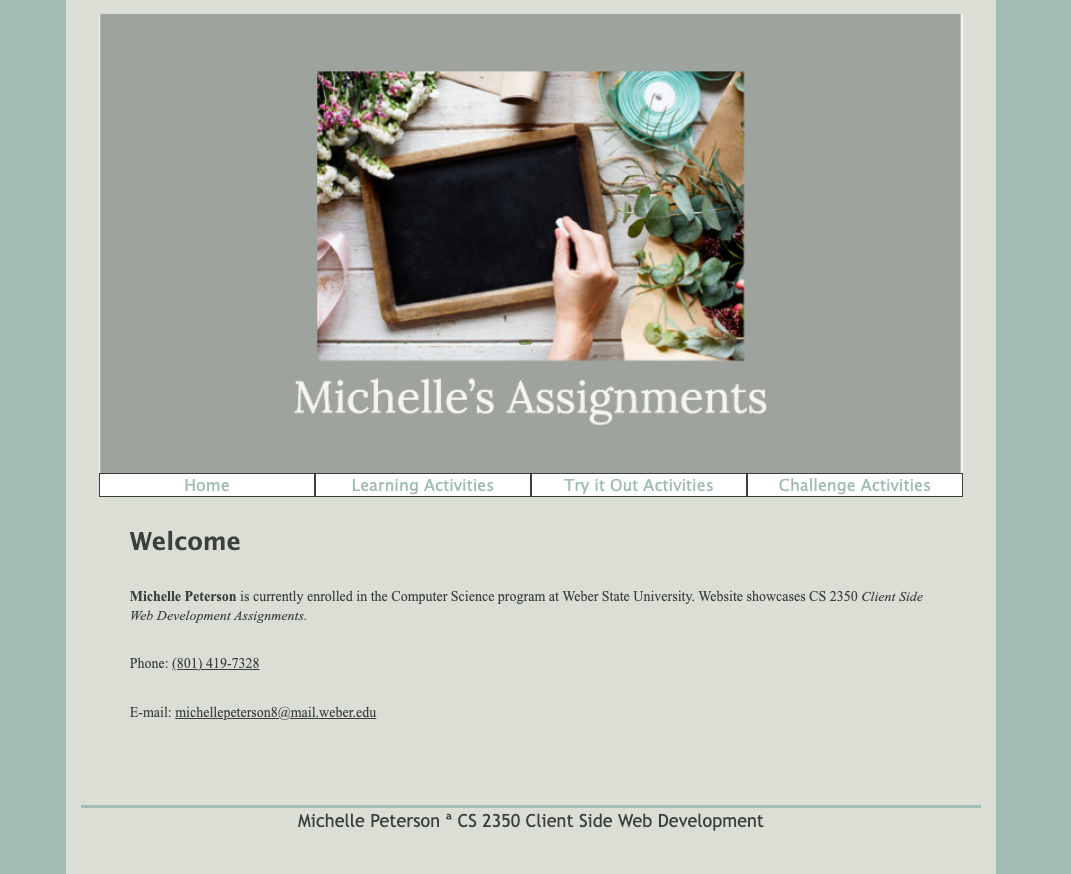 website1