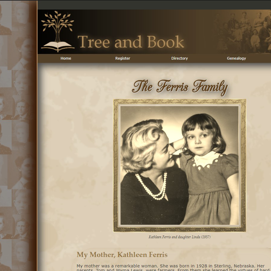 preview of ferris family website