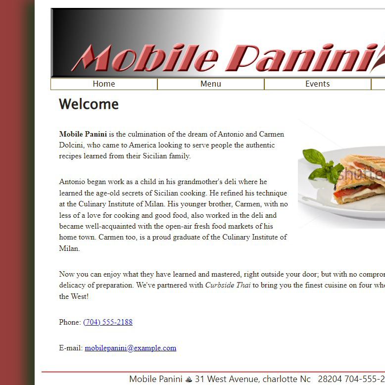 preview of mobile panini website