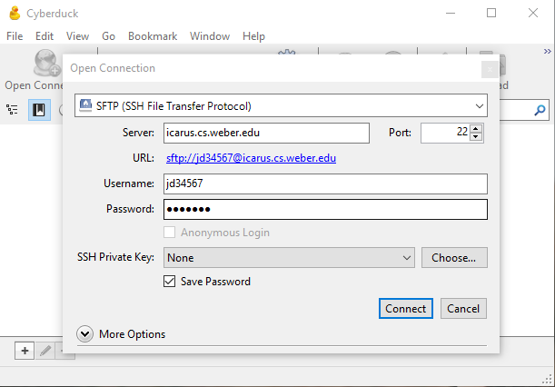 Login page of Cyberduck application