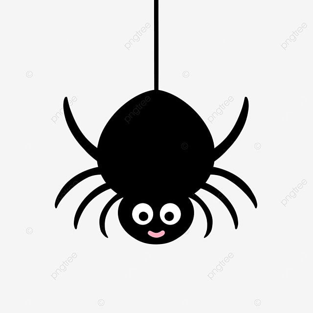 spider
